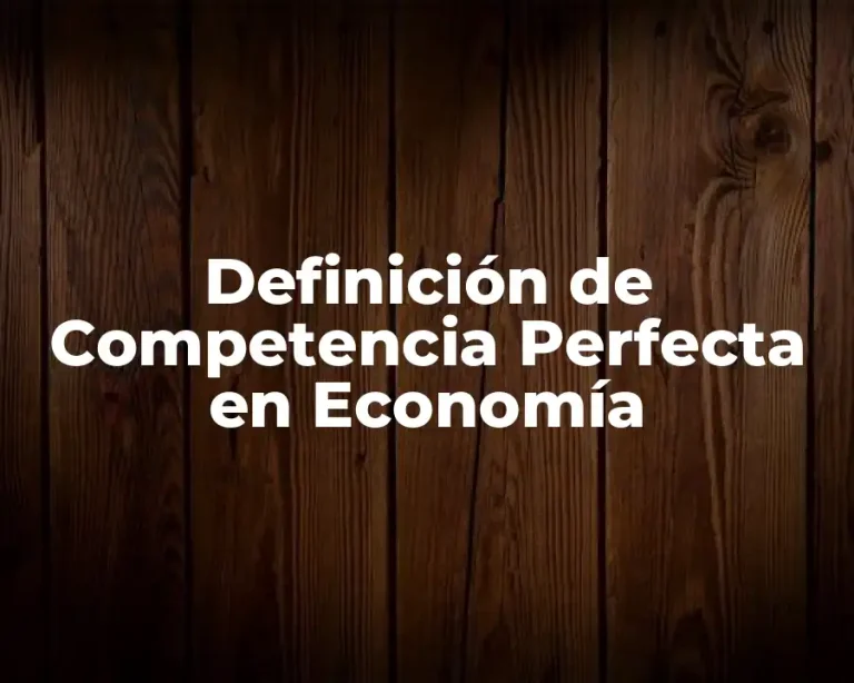 Definición de Competencia Perfecta en Economía