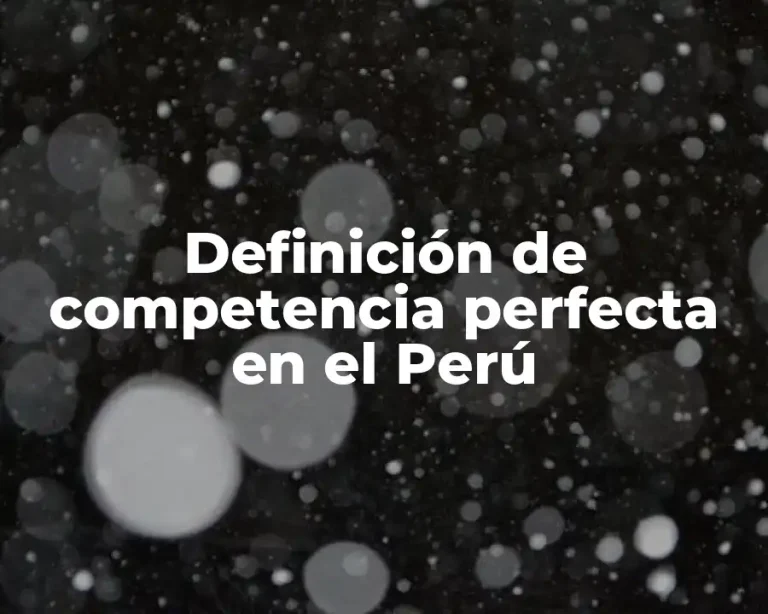 Definición de competencia perfecta en el Perú