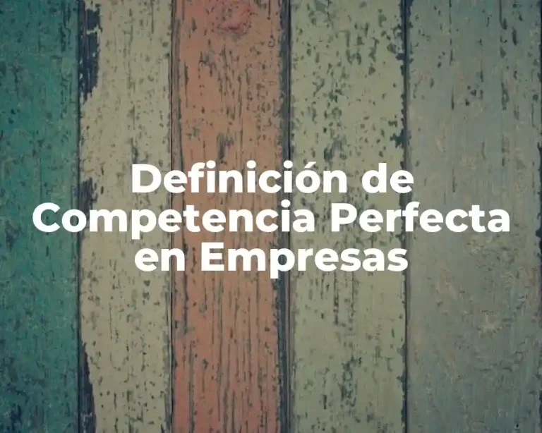 Definición de Competencia Perfecta en Empresas