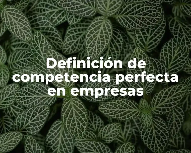 Definición de competencia perfecta en empresas