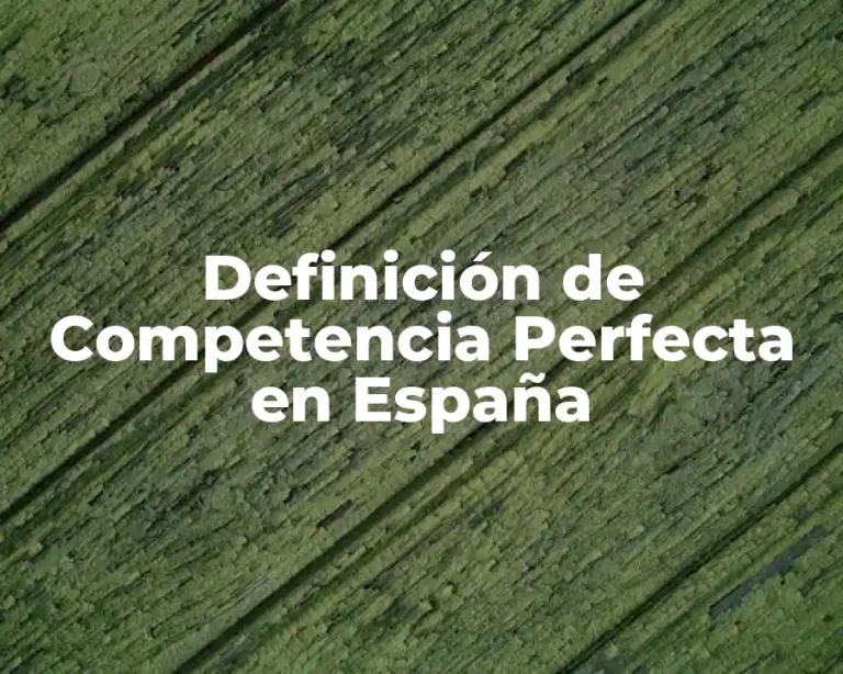 Definición de Competencia Perfecta en España