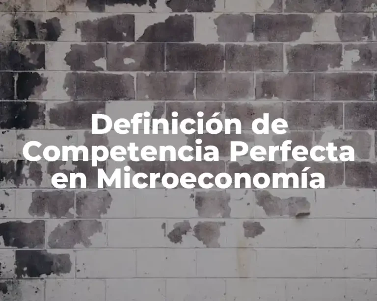Definición de Competencia Perfecta en Microeconomía