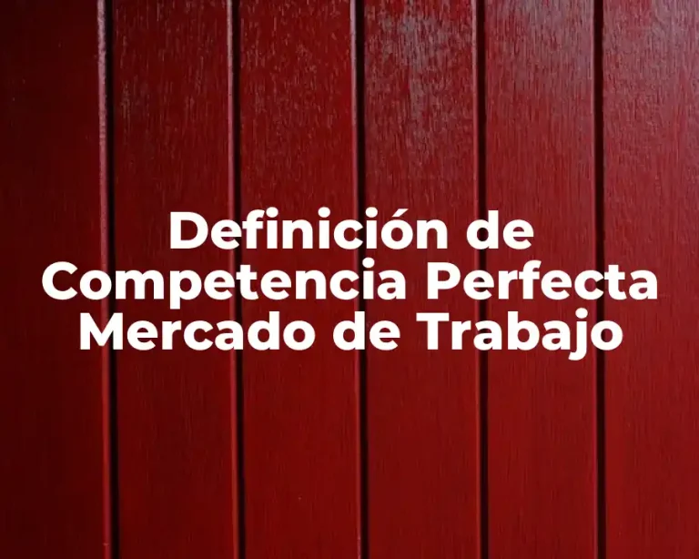 Definición de Competencia Perfecta Mercado de Trabajo