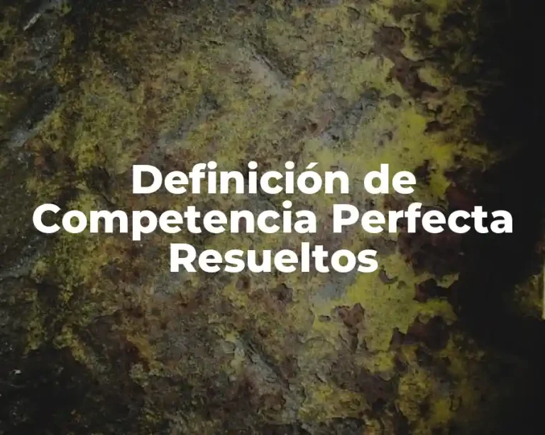 Definición de Competencia Perfecta Resueltos