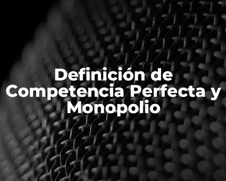 Definición de Competencia Perfecta y Monopolio