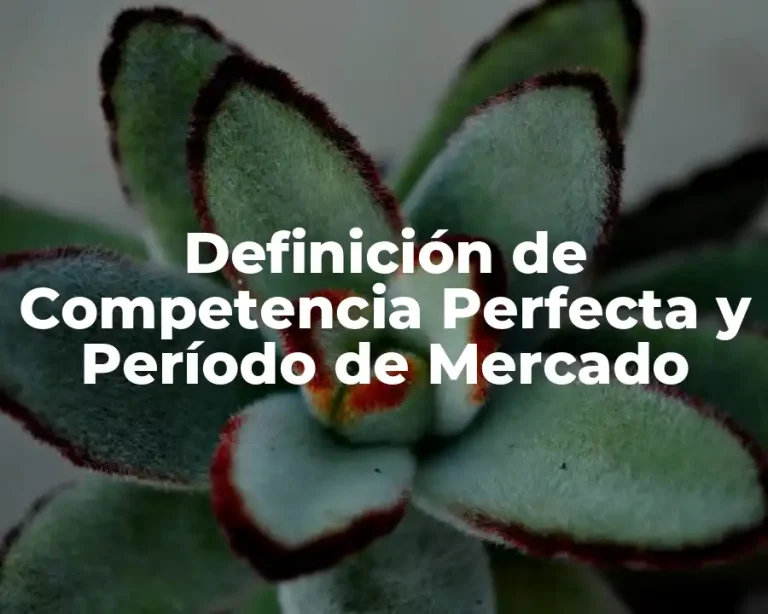 Definición de Competencia Perfecta y Período de Mercado