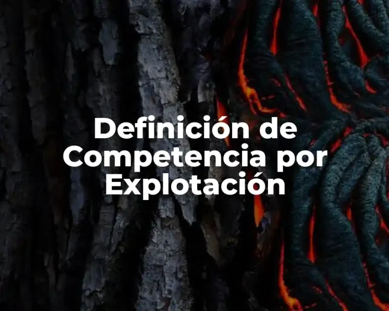 Definición de Competencia por Explotación