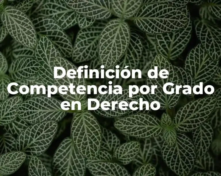 Definición de Competencia por Grado en Derecho