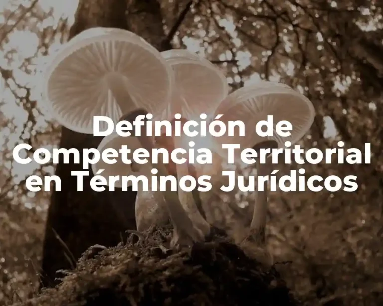Definición de Competencia Territorial en Términos Jurídicos