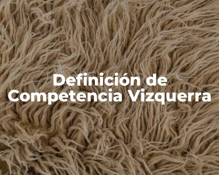 Definición de Competencia Vizquerra