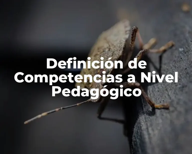 Definición de Competencias a Nivel Pedagógico