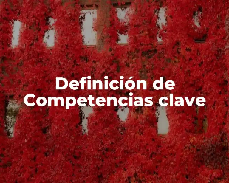 Definición de Competencias clave