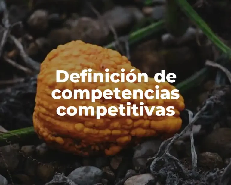 Definición de competencias competitivas