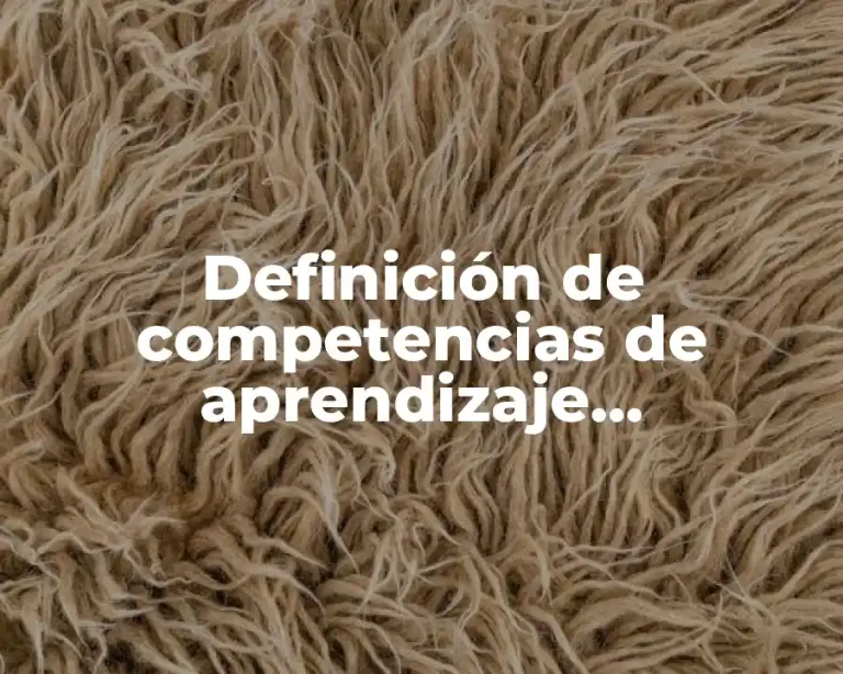 Definición de competencias de aprendizaje permanente