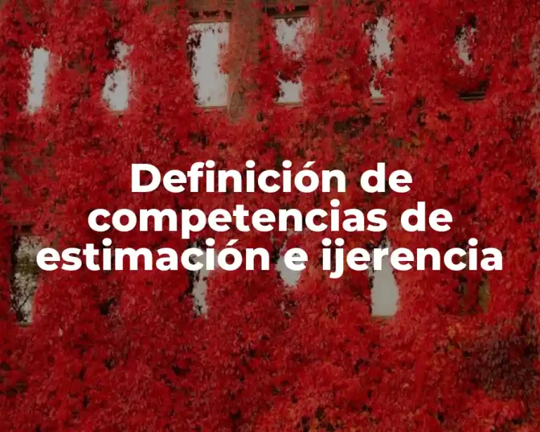 Definición de competencias de estimación e ijerencia