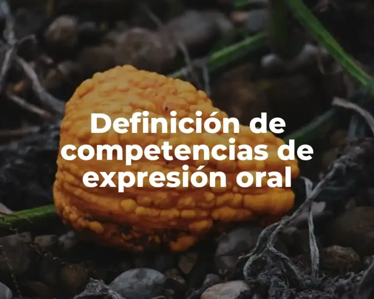 Definición de competencias de expresión oral