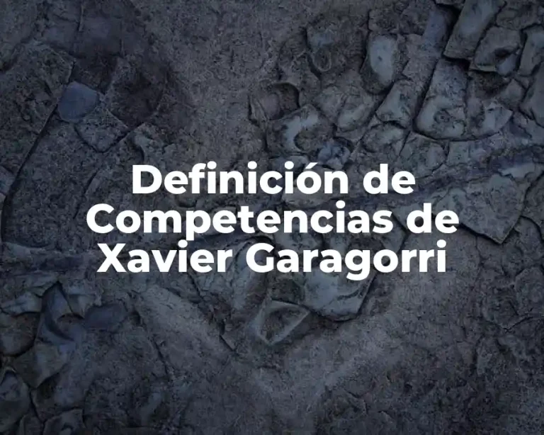 Definición de Competencias de Xavier Garagorri