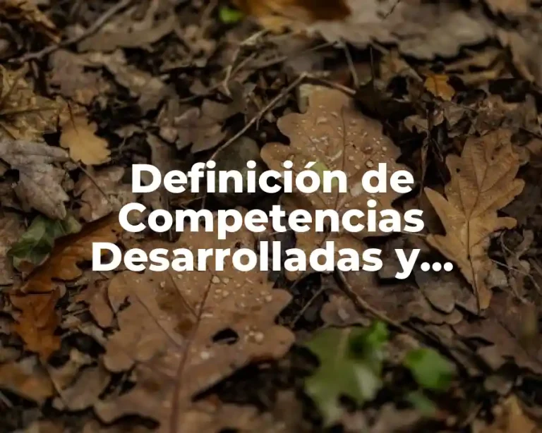 Definición de Competencias Desarrolladas y Aplicadas