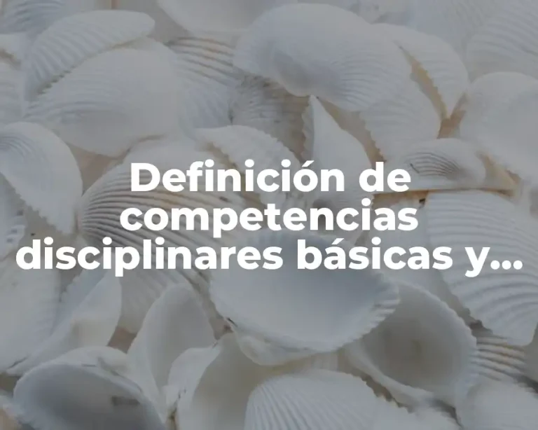 Definición de competencias disciplinares básicas y extendidas
