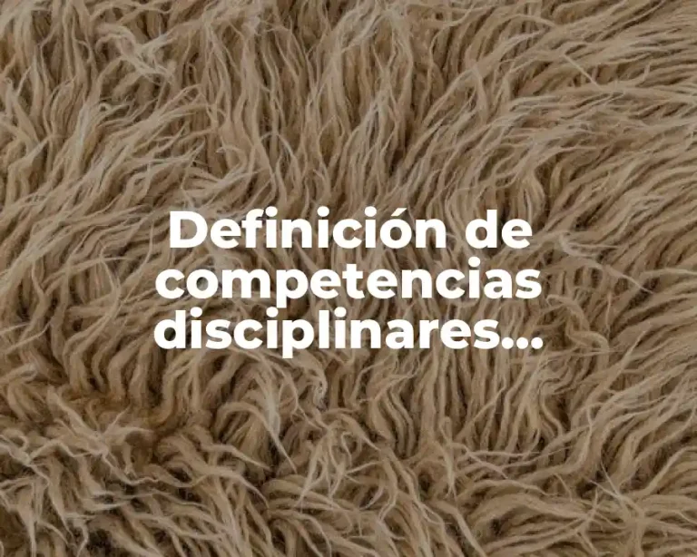 Definición de competencias disciplinares extendidas