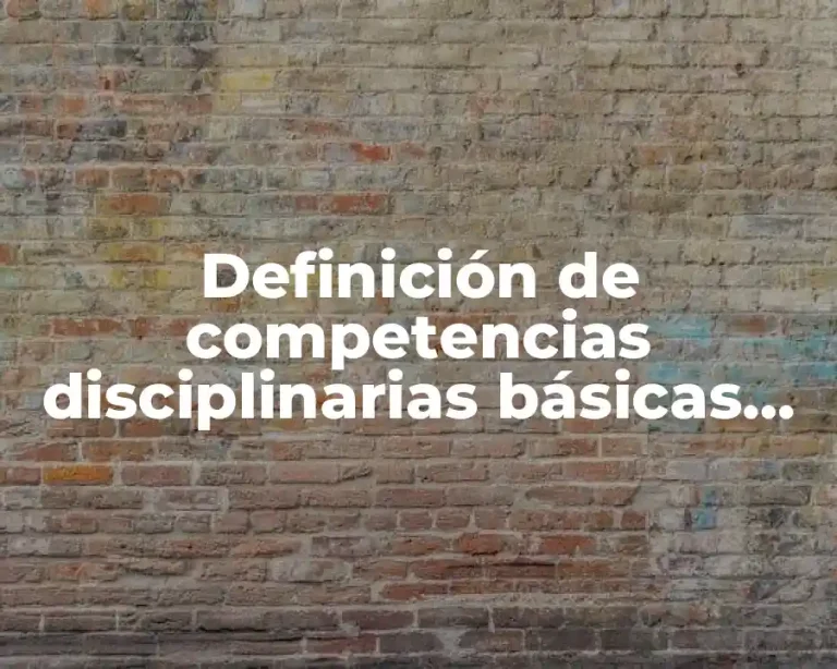 Definición de competencias disciplinarias básicas en ciencias sociales
