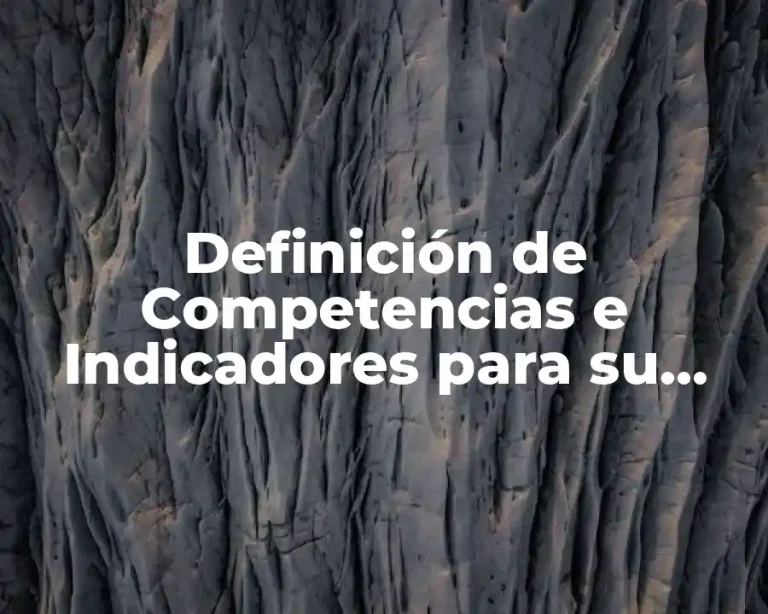 Definición de Competencias e Indicadores para su Evaluación