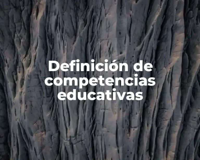 Definición de competencias educativas