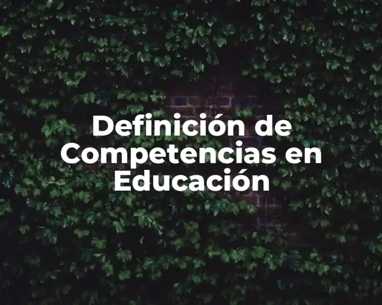 Definición de Competencias en Educación