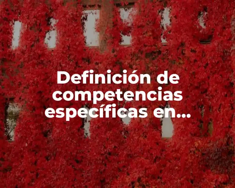 Definición de competencias específicas en mecatrónica