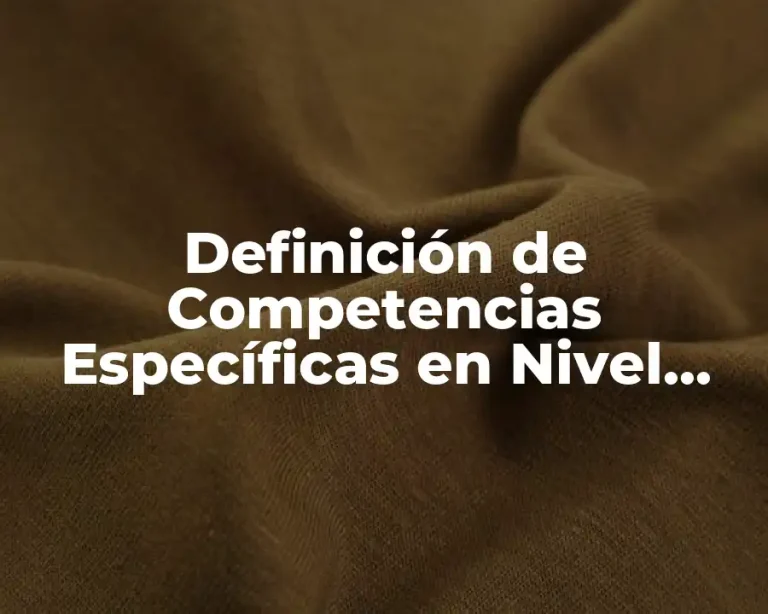 Definición de Competencias Específicas en Nivel Básico