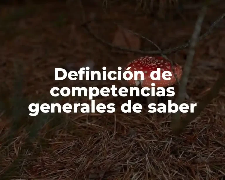Definición de competencias generales de saber