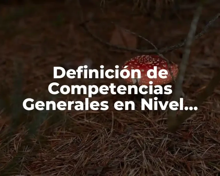 Definición de Competencias Generales en Nivel Básico