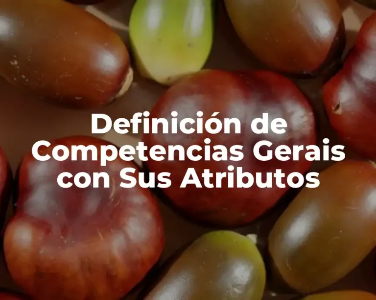Definición de Competencias Gerais con Sus Atributos