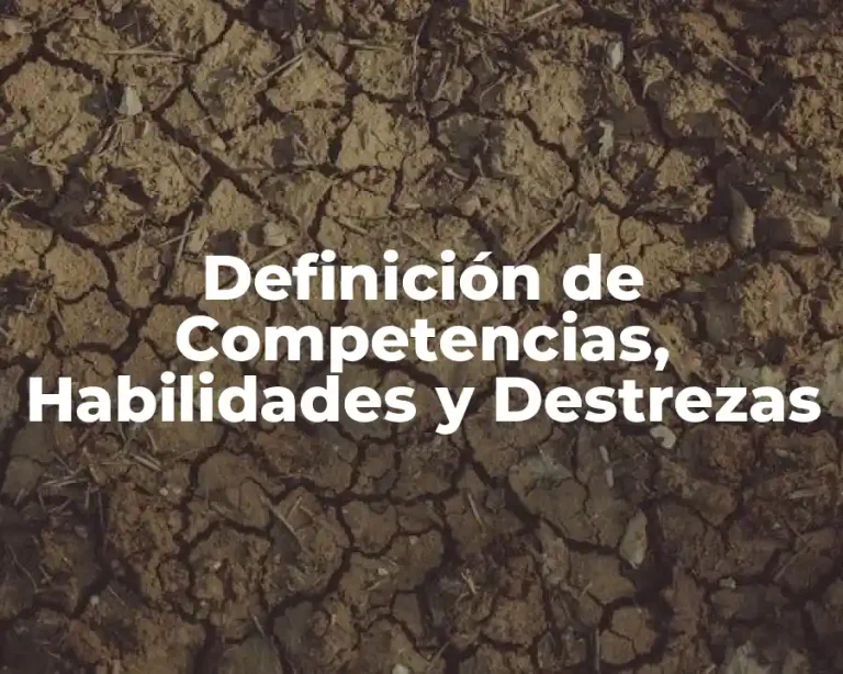 Definición de Competencias, Habilidades y Destrezas