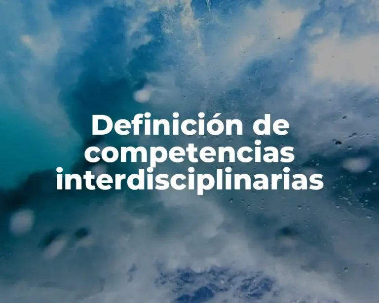 Definición de competencias interdisciplinarias