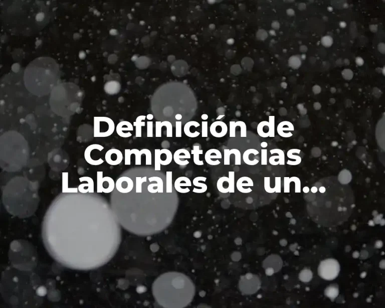 Definición de Competencias Laborales de un Profissional