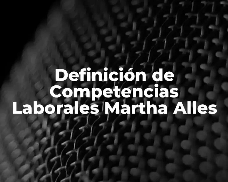 Definición de Competencias Laborales Martha Alles