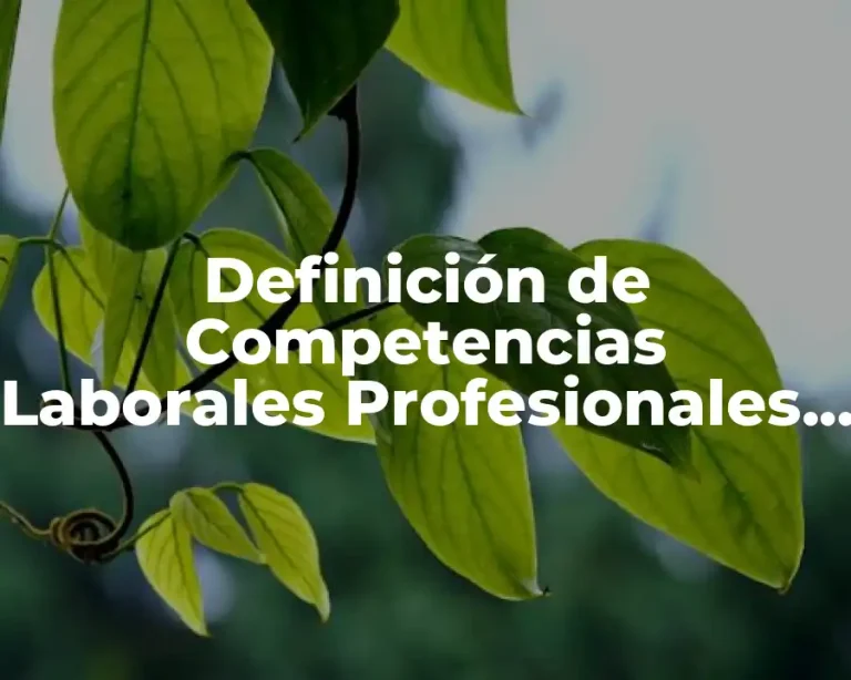 Definición de Competencias Laborales Profesionales Fundamentos