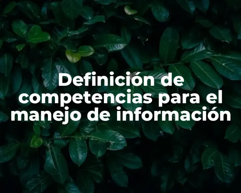 Definición de competencias para el manejo de información