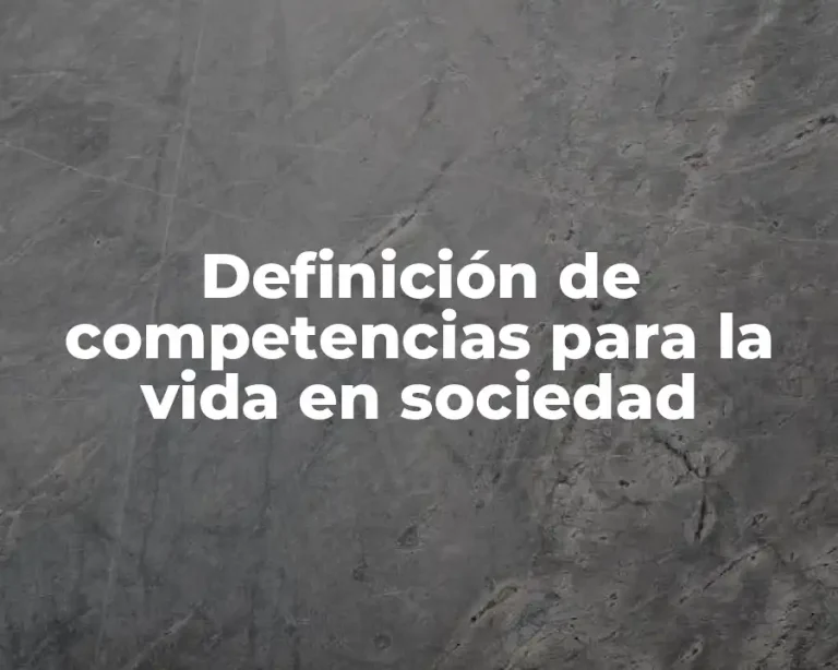Definición de competencias para la vida en sociedad