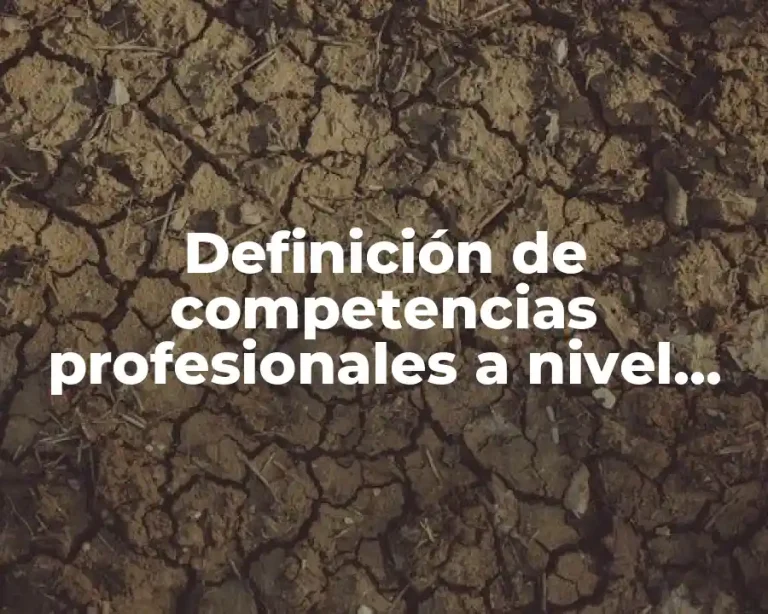 Definición de competencias profesionales a nivel general