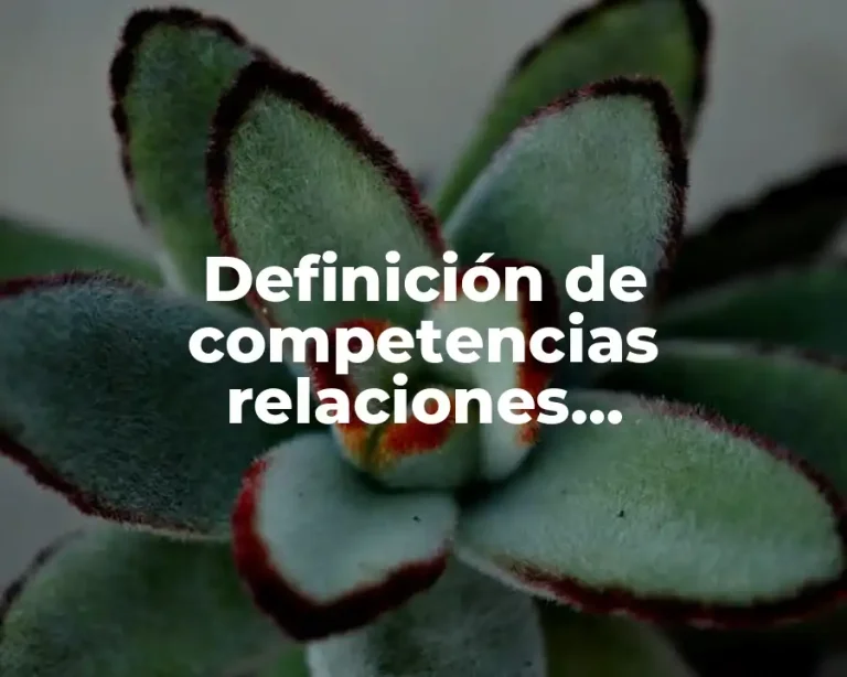 Definición de competencias relaciones intergubernamentales en México