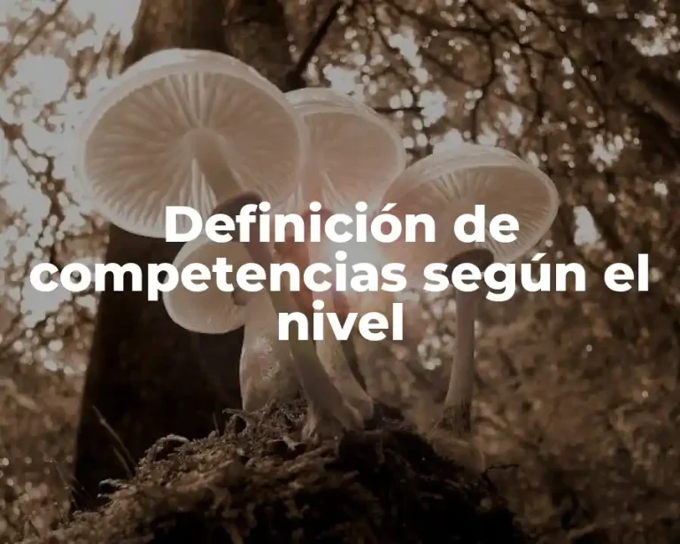 Definición de competencias según el nivel