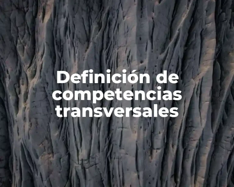 Definición de competencias transversales