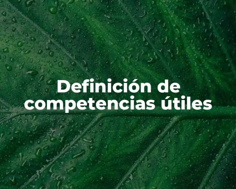 Definición de competencias útiles