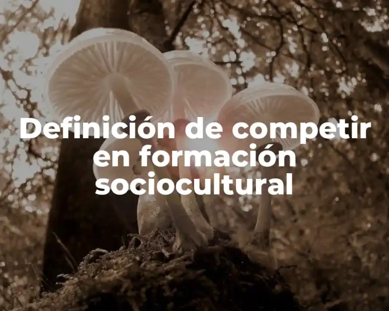 Definición de competir en formación sociocultural