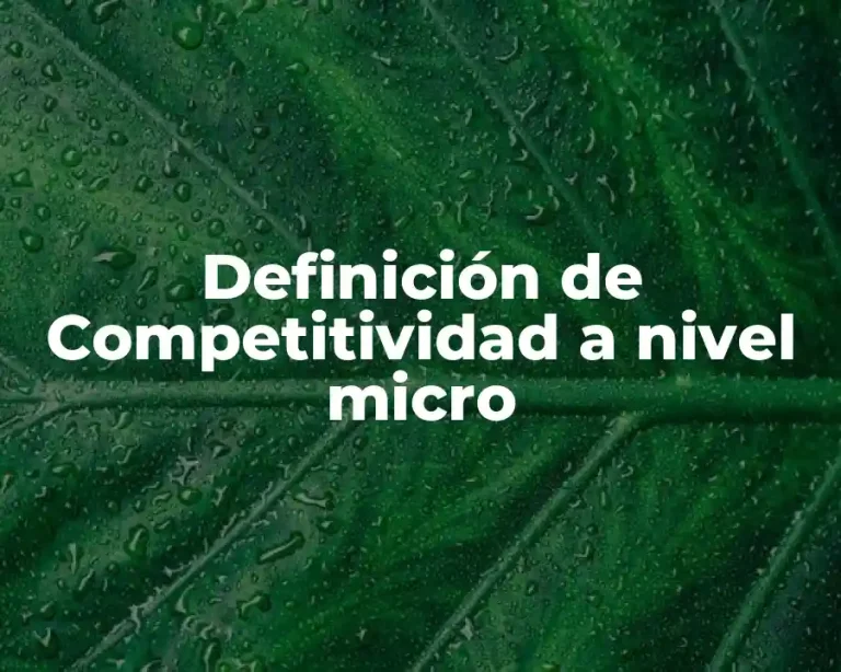 Definición de Competitividad a nivel micro