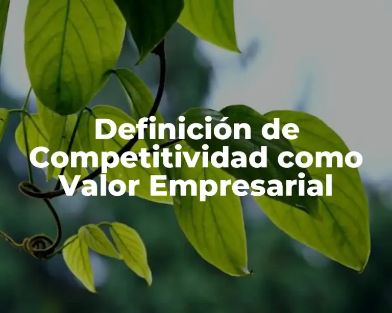 Definición de Competitividad como Valor Empresarial