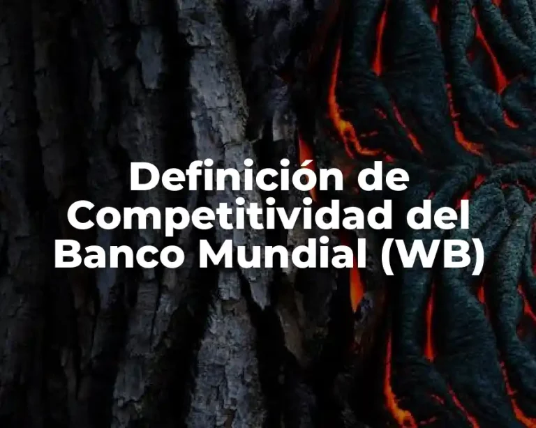 Definición de Competitividad del Banco Mundial (WB)