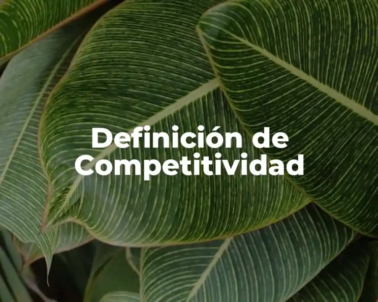 Definición de Competitividad